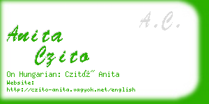 anita czito business card